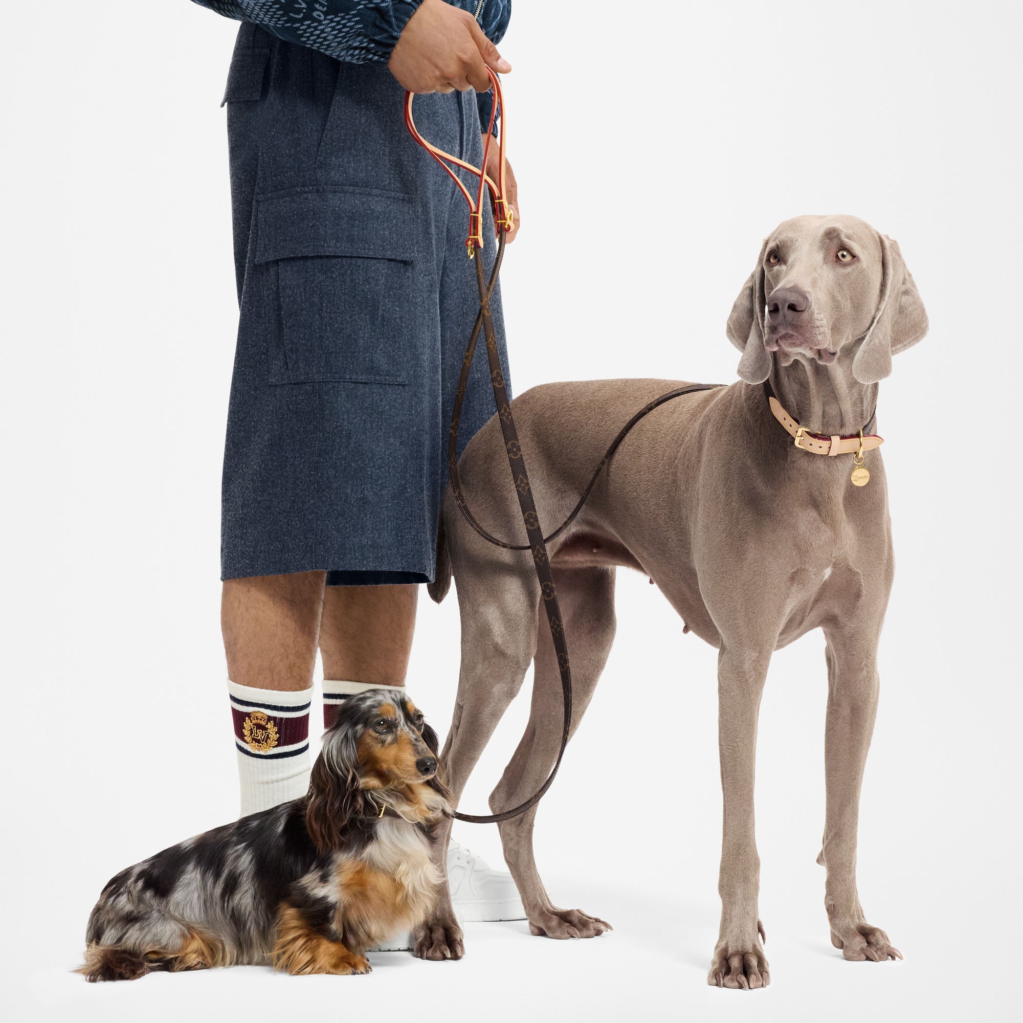 Dog Leash PM - Pets Accessories | LOUIS VUITTON